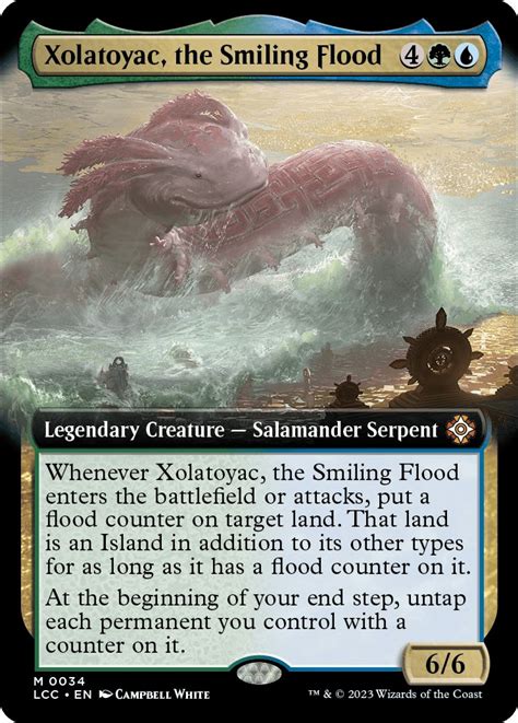 flood counters mtg